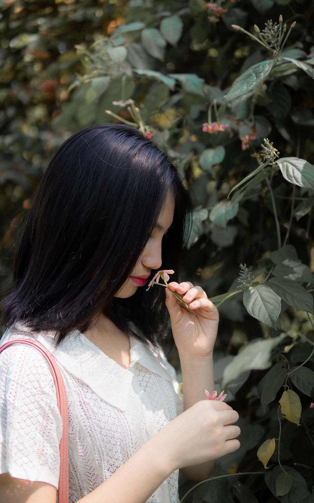 Photo Showcase 5